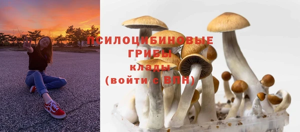дживик Белоозёрский