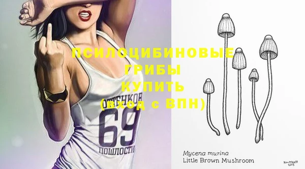 крисы Белокуриха