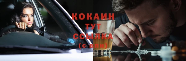 дживик Белоозёрский