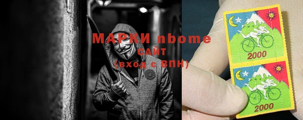 крисы Белокуриха